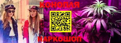 ешки Шебекино
