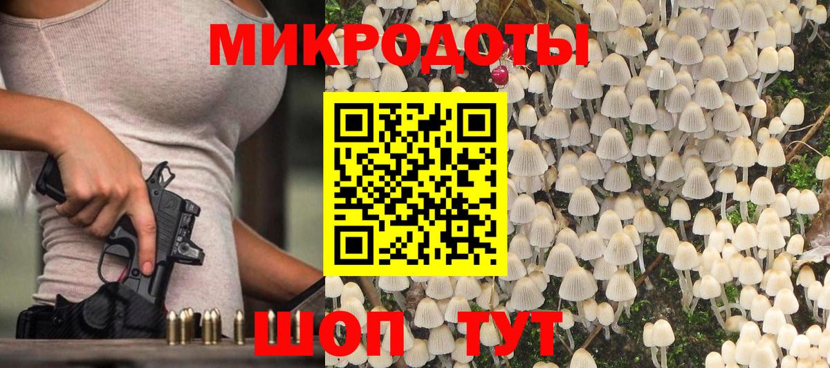 Псилоцибиновые грибы Psilocybe Кунгур