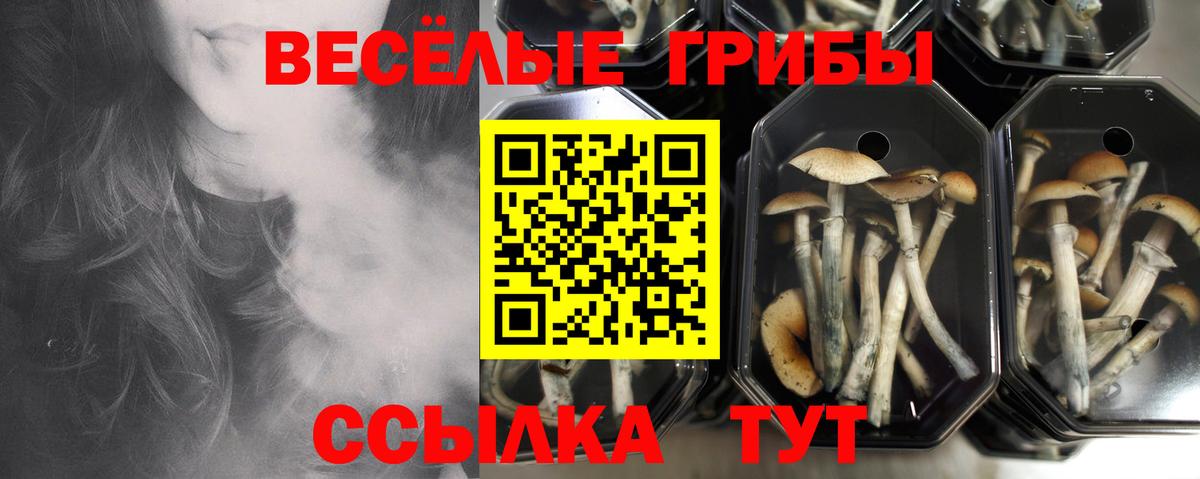 Псилоцибиновые грибы Magic Shrooms  купить наркоту  Галлюциногенные грибы мухоморы  Кунгур  Вход с VPN 